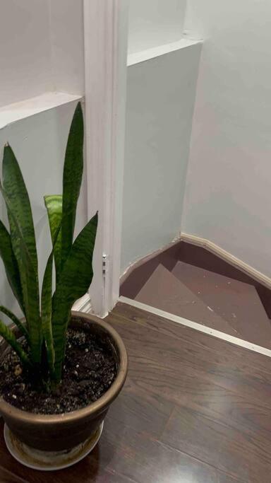 Bernie'S Basement Lägenhet Milton Exteriör bild